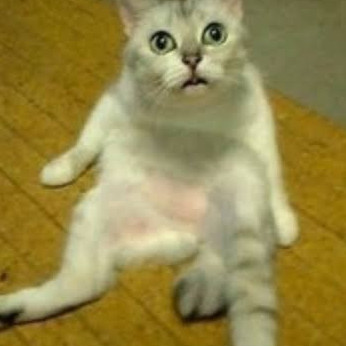 Lily20230423's avatar