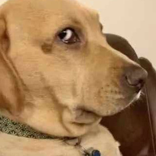 nick3168168's avatar