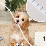 RichChecker's avatar