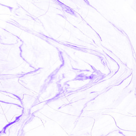 shushushushushu's avatar