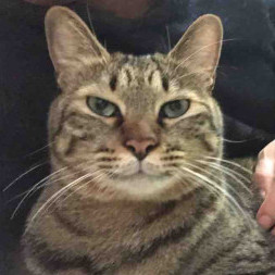 higasiuramin's avatar