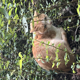 teriyakiboy2's avatar