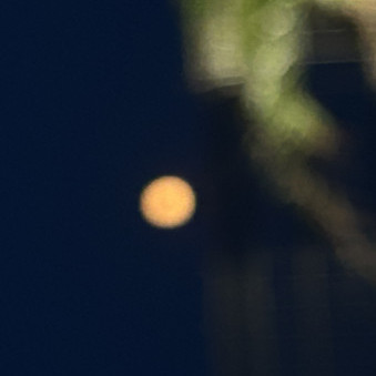 onakin7deys's avatar