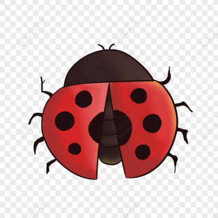 Manspeed120's avatar