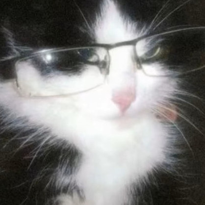 Rhoswen's avatar