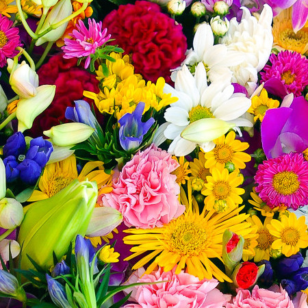 mic22872001's avatar