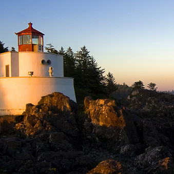 asanainakayama's avatar