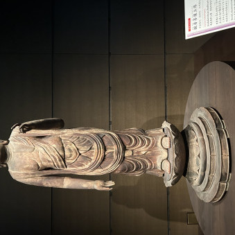 ebimayo8961's avatar