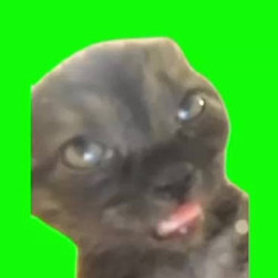 shotaniOhei's avatar