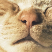 RockSmithJapan's avatar