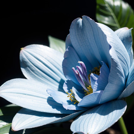 gustavglosbe's avatar