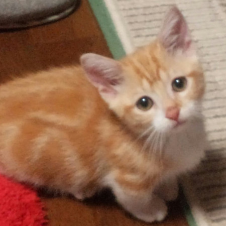 smile114514's avatar