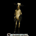 loccat's avatar