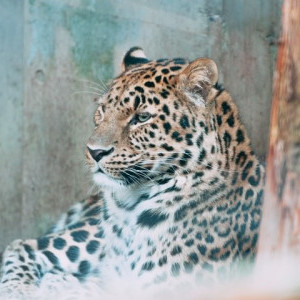 Movie_watch's avatar