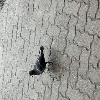 ebiebiebi00706's avatar