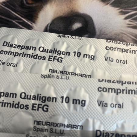 rakoonlives's avatar