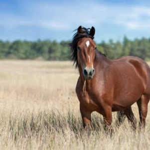 hamahama530's avatar