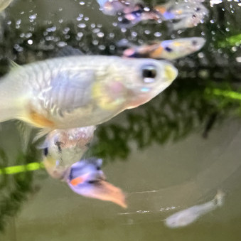 Tenntenn1188's avatar