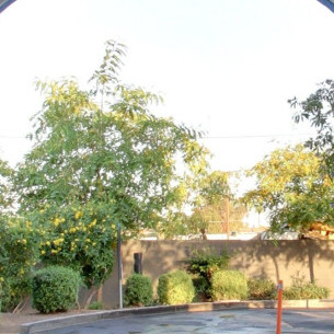 alligator23's avatar