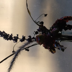 Fariasdavid's avatar