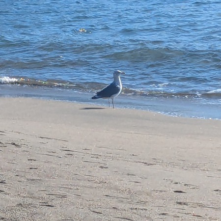 jukujukuman's avatar