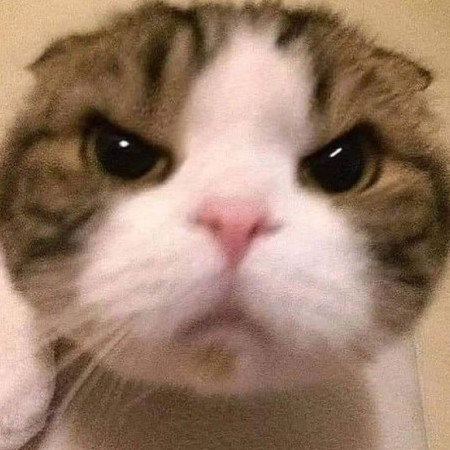 farijer22298's avatar