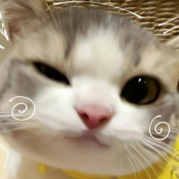 nyannyannya__'s avatar