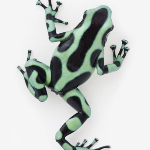 FreaksFreak's avatar