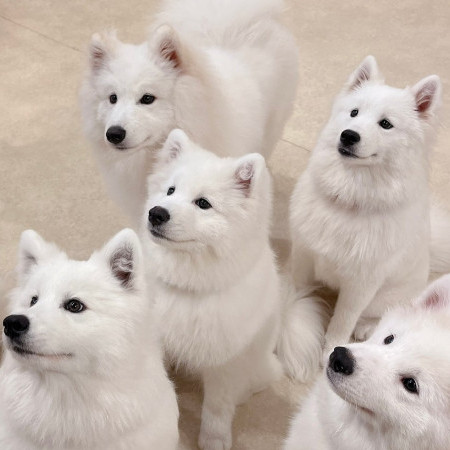 Patrick3000's avatar