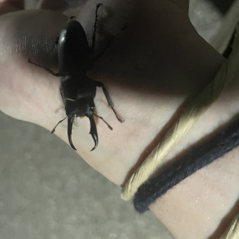 kenken_8647's avatar