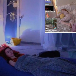 alledition1400's avatar