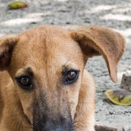 SOLID1989EVO's avatar