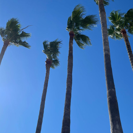 noribentaroo's avatar