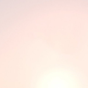 nuttyfunkyking's avatar