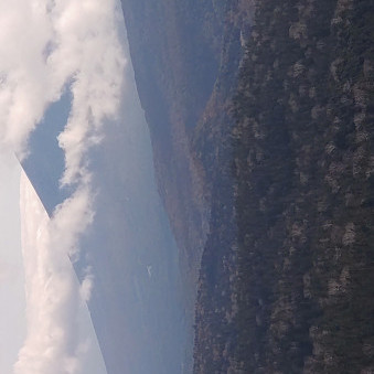 moriokaendo's avatar