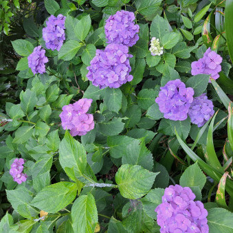 ryungryung2's avatar