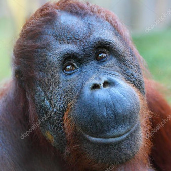 kon_mura0120120's avatar