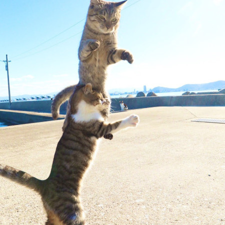 masashi0321's avatar