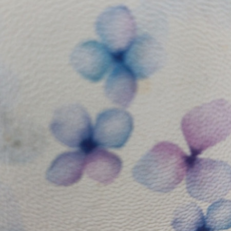 hiyorimania's avatar