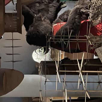 minomushi110413's avatar