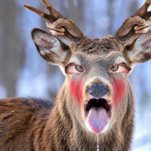 piropiropiro072's avatar