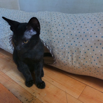 mag1cian1111's avatar