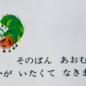 kinmiraipako's avatar