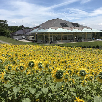 kondou_musashi's avatar