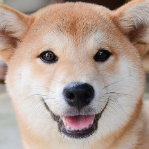 leileiponpon's avatar