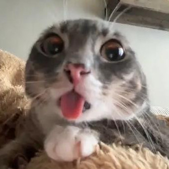 akiokucingmanis's avatar